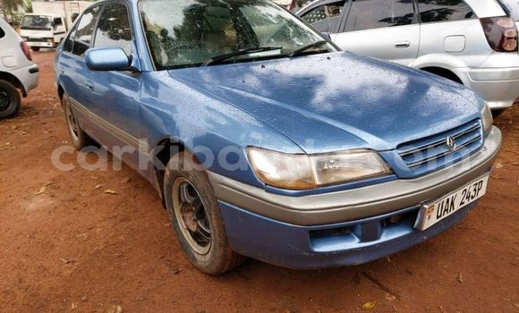 Buy Used Toyota Premio Blue Car in Kampala in Uganda