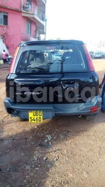 Big with watermark 43880256 157845481824638 895143421541351424 o