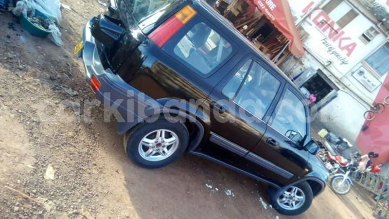 Big with watermark 43952242 157845575157962 4335428086951575552 o