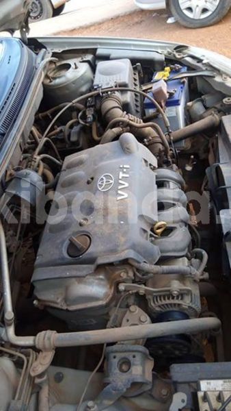 Big with watermark 43880256 157845481824638 895143421541351424 o