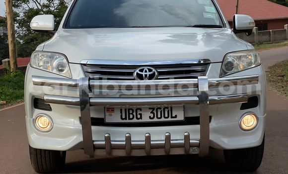 Nunua Ilio tumika Toyota Vanguard Nyeupe Gari ndani ya Kampala nchini Uganda Nunua Ilio tumika Toyota Vanguard Nyeupe Gari ndani ya Kampala nchini Uganda