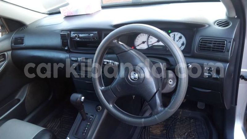 Big with watermark 43952242 157845575157962 4335428086951575552 o