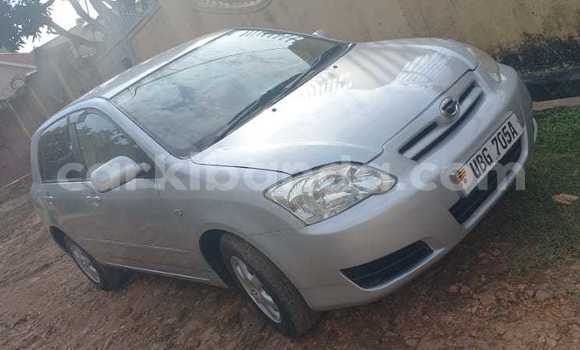 Buy Used Toyota Runx Silver Car in Kampala in Uganda