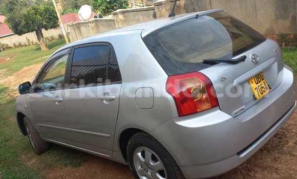 Buy Used Toyota Runx Silver Car in Kampala in Uganda Buy Used Toyota Runx Silver Car in Kampala in Uganda