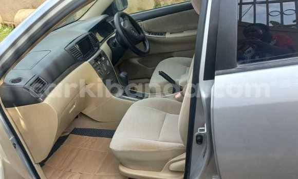 Buy Used Toyota Runx Silver Car in Kampala in Uganda Buy Used Toyota Runx Silver Car in Kampala in Uganda