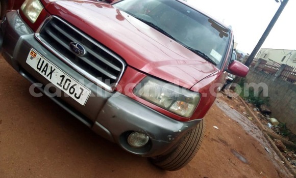 Buy Used Subaru Forester Other Car in Kampala in Uganda
