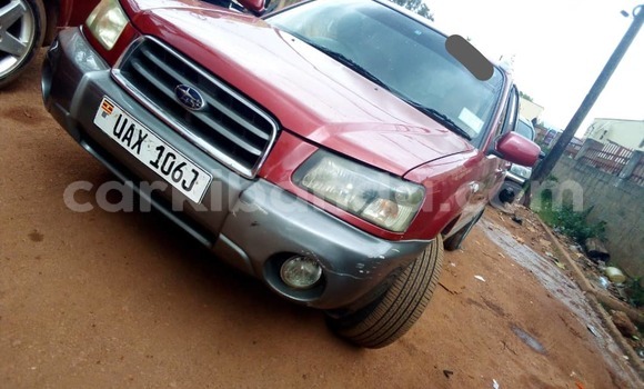 Nunua Ilio tumika Subaru Forester Nyingine Gari ndani ya Kampala nchini Uganda Nunua Ilio tumika Subaru Forester Nyingine Gari ndani ya Kampala nchini Uganda