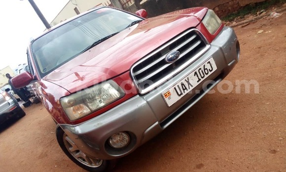 Nunua Ilio tumika Subaru Forester Nyingine Gari ndani ya Kampala nchini Uganda Nunua Ilio tumika Subaru Forester Nyingine Gari ndani ya Kampala nchini Uganda