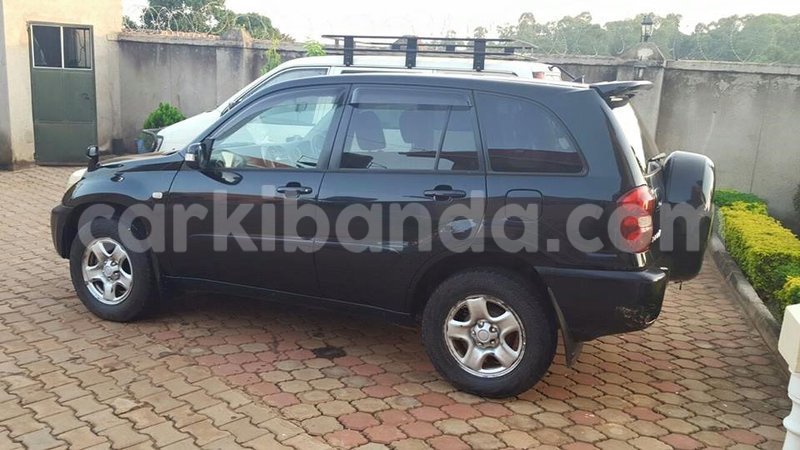 Big with watermark ec7cc7a6cb1b rav4