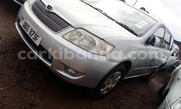 Acheter Occasion Voiture Toyota Fielder Gris à Kampala, Ouganda