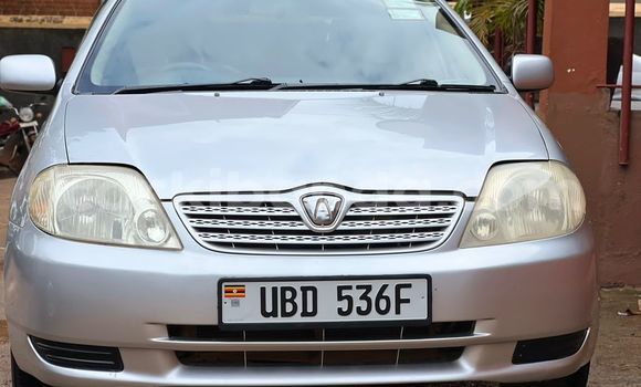 Buy Used Toyota Allex Silver Car in Kampala in Uganda