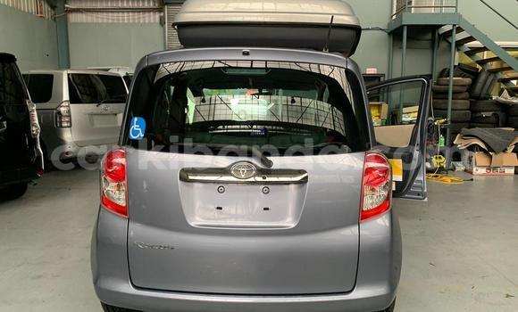 Acheter Occasion Voiture Toyota Ractis Beige à Busia, Ouganda Acheter Occasion Voiture Toyota Ractis Beige à Busia, Ouganda