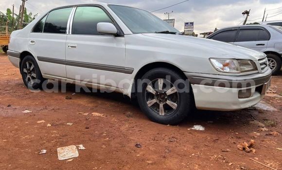 Buy Used Toyota Premio White Car in Kampala in Uganda