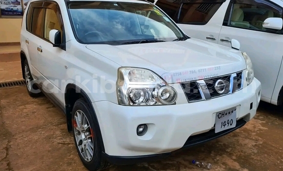 Acheter Occasion Voiture Nissan X–Trail Blanc à Kampala, Ouganda Acheter Occasion Voiture Nissan X–Trail Blanc à Kampala, Ouganda