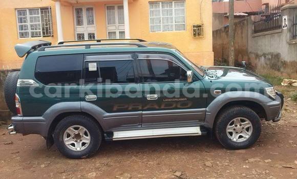 Buy Used Toyota Prado Car in Arua in Uganda