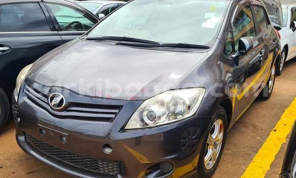 Buy Used Toyota Auris Other Car in Kampala in Uganda