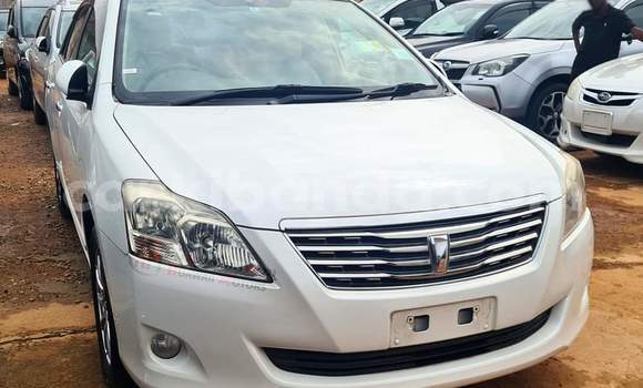 Buy Used Toyota Premio White Car in Kampala in Uganda