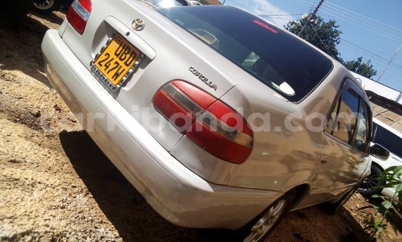 Gura Yakoze Toyota Corolla White Imodoka i Kampala mu Uganda Gura Yakoze Toyota Corolla White Imodoka i Kampala mu Uganda