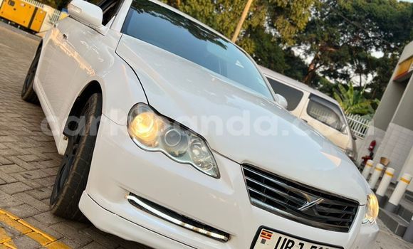 Nunua Ilio tumika Toyota Mark X Nyeupe Gari ndani ya Kampala nchini Uganda Nunua Ilio tumika Toyota Mark X Nyeupe Gari ndani ya Kampala nchini Uganda