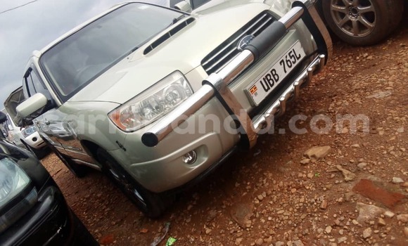 Gura Yakoze Subaru Forester Other Imodoka i Kampala mu Uganda Gura Yakoze Subaru Forester Other Imodoka i Kampala mu Uganda