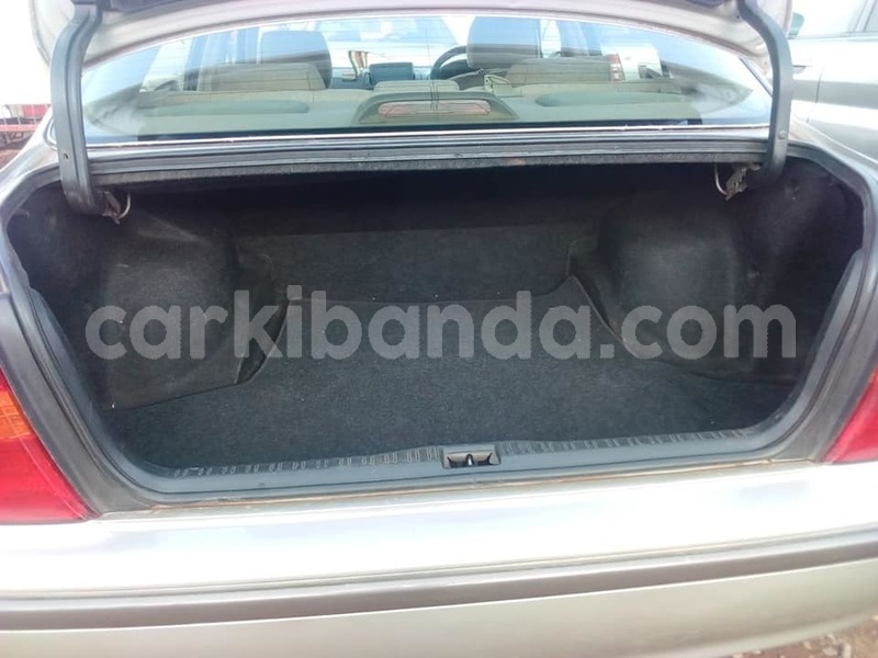 Big with watermark 44950358 1074291492753650 829821160857272320 n