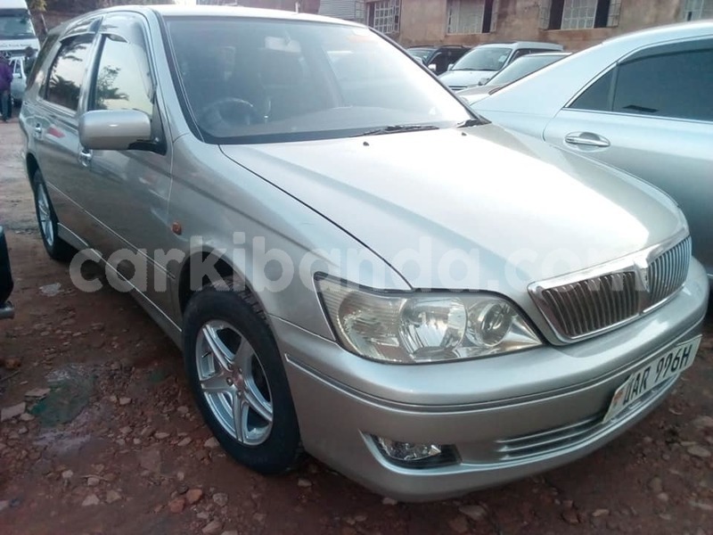 Big with watermark 44324943 1067852636730869 8430635990158147584 n