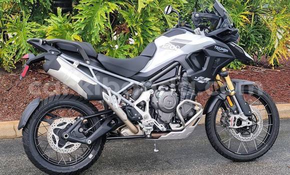 Buy Used Triumph Tiger Black Bike in Arua in Uganda