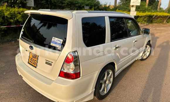 Buy Used Subaru Forester White Car in Kampala in Uganda Buy Used Subaru Forester White Car in Kampala in Uganda