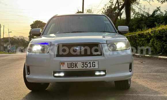 Buy Used Subaru Forester White Car in Kampala in Uganda Buy Used Subaru Forester White Car in Kampala in Uganda