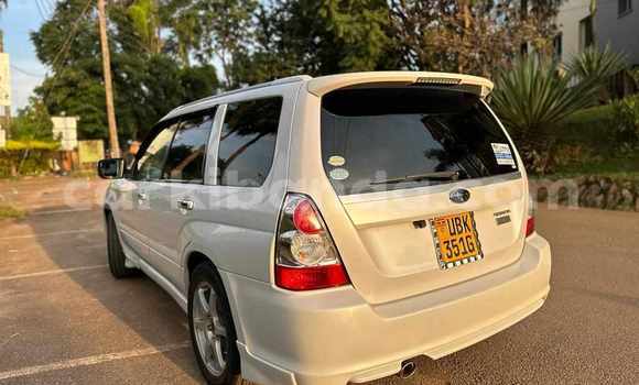 Buy Used Subaru Forester White Car in Kampala in Uganda Buy Used Subaru Forester White Car in Kampala in Uganda