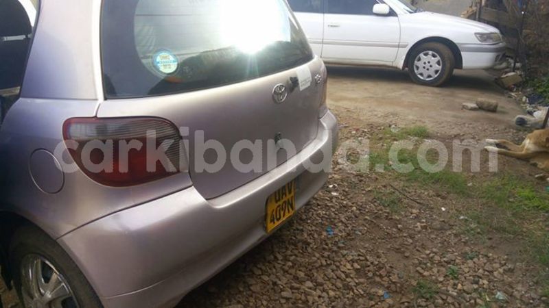 Big with watermark 42435076 713628862331378 1691674780513599488 n