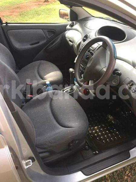 Big with watermark 43880256 157845481824638 895143421541351424 o