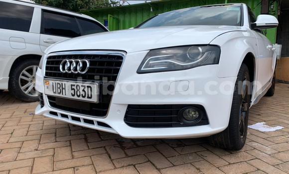 Buy Used Audi A4 White Car in Kampala in Uganda