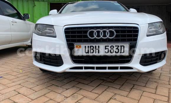 Buy Used Audi A4 White Car in Kampala in Uganda Buy Used Audi A4 White Car in Kampala in Uganda