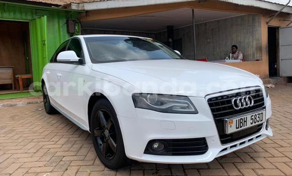 Buy Used Audi A4 White Car in Kampala in Uganda Buy Used Audi A4 White Car in Kampala in Uganda