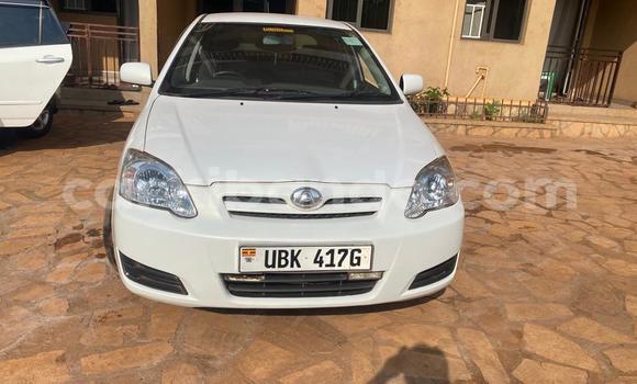 Buy Used Toyota Allex White Car in Kampala in Uganda