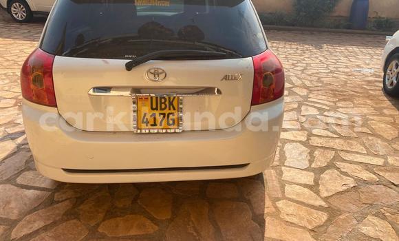 Nunua Ilio tumika Toyota Allex Nyeupe Gari ndani ya Kampala nchini Uganda Nunua Ilio tumika Toyota Allex Nyeupe Gari ndani ya Kampala nchini Uganda