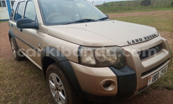 Buy Used Land Rover Freelander Other Car in Entebbe in Uganda