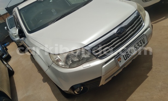 Nunua Ilio tumika Subaru Forester Nyeupe Gari ndani ya Kampala nchini Uganda