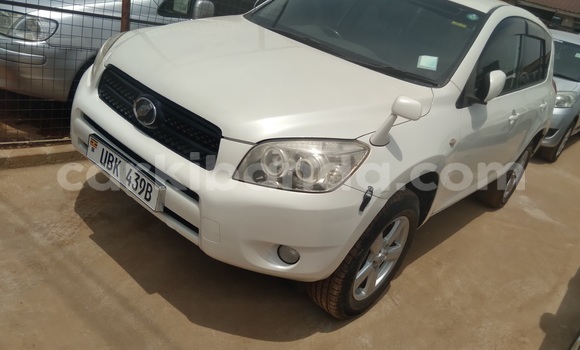 Nunua Ilio tumika Toyota RAV4 Nyeupe Gari ndani ya Kampala nchini Uganda Nunua Ilio tumika Toyota RAV4 Nyeupe Gari ndani ya Kampala nchini Uganda