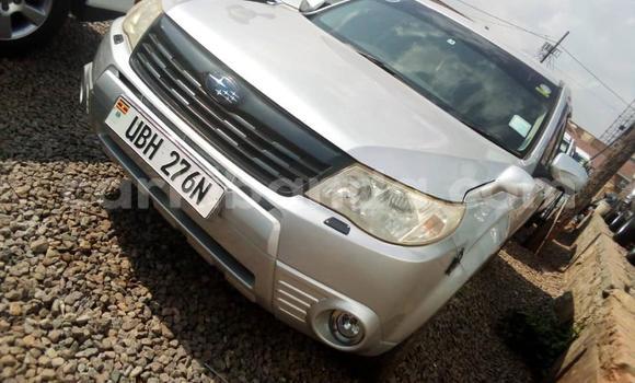 Nunua Ilio tumika Subaru Forester Fedha Gari ndani ya Kampala nchini Uganda Nunua Ilio tumika Subaru Forester Fedha Gari ndani ya Kampala nchini Uganda