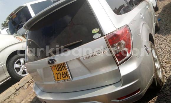 Nunua Ilio tumika Subaru Forester Fedha Gari ndani ya Kampala nchini Uganda Nunua Ilio tumika Subaru Forester Fedha Gari ndani ya Kampala nchini Uganda