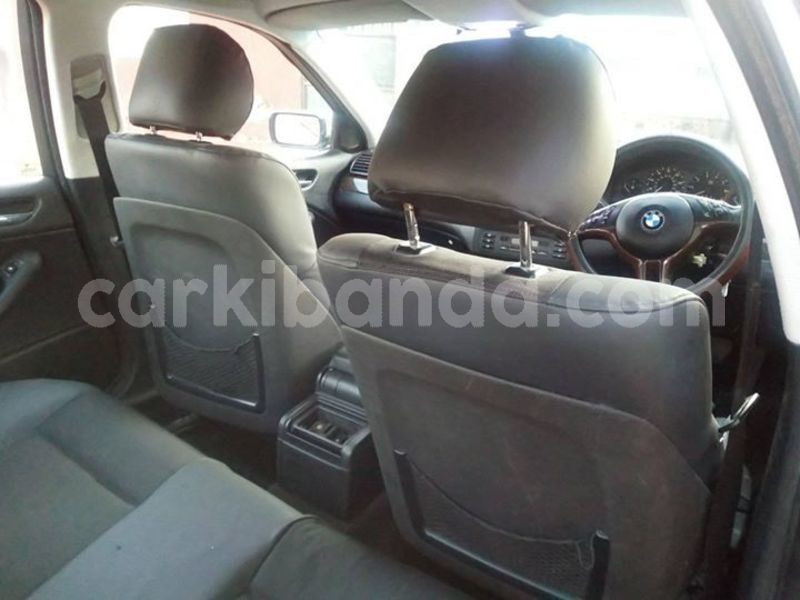 Big with watermark 46339802 1927527244030835 622982940405530624 o