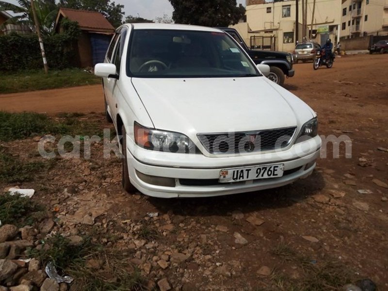 Big with watermark 46129326 1924606264322933 6707486954860052480 o