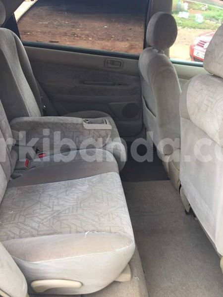 Big with watermark 46212220 1924606394322920 2815360008944877568 n