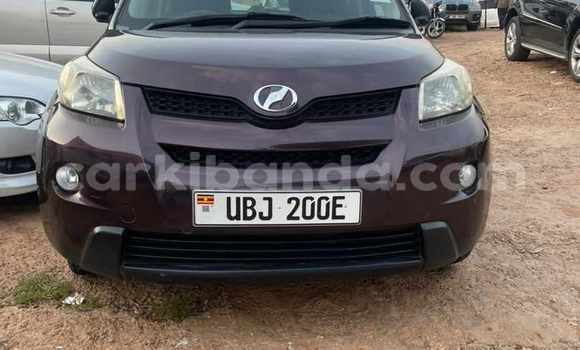 Buy Used Toyota IST Other Car in Kampala in Uganda