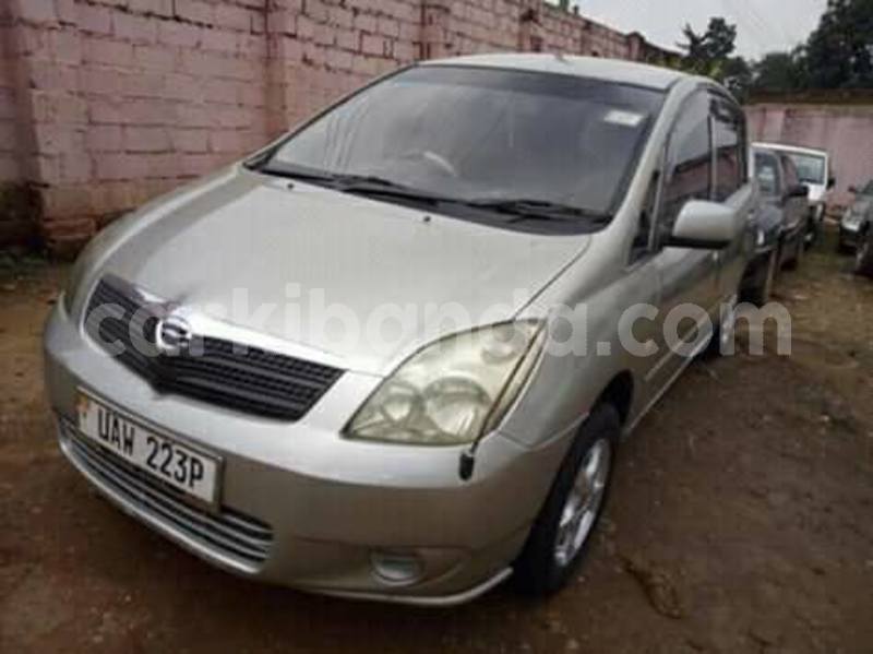 Big with watermark 46281778 1163506750472604 3655091970046427136 n