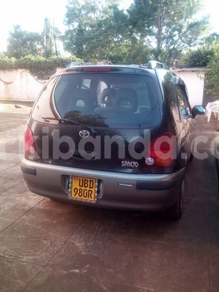 Big with watermark 46458570 1162862713870341 2216196338687672320 n