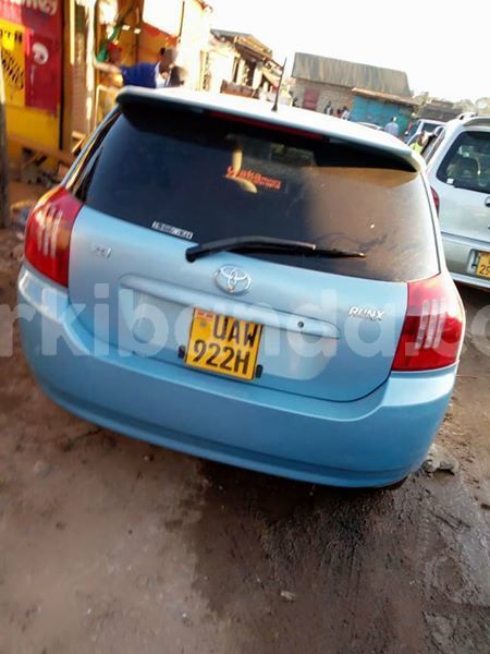 Big with watermark 46291392 1162862823870330 3562230099887521792 n