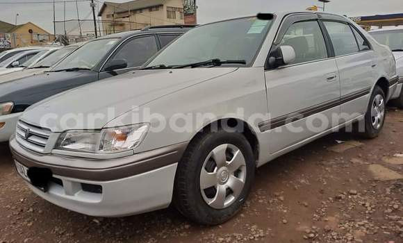 Gura Yakoze Toyota Premio White Imodoka i Kampala mu Uganda Gura Yakoze Toyota Premio White Imodoka i Kampala mu Uganda